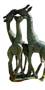 Giraffe Family