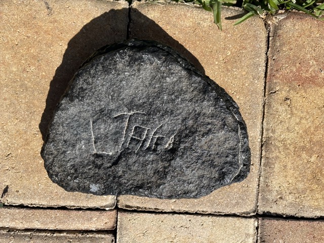 IMG_1775 Medium IMG_1775 Medium