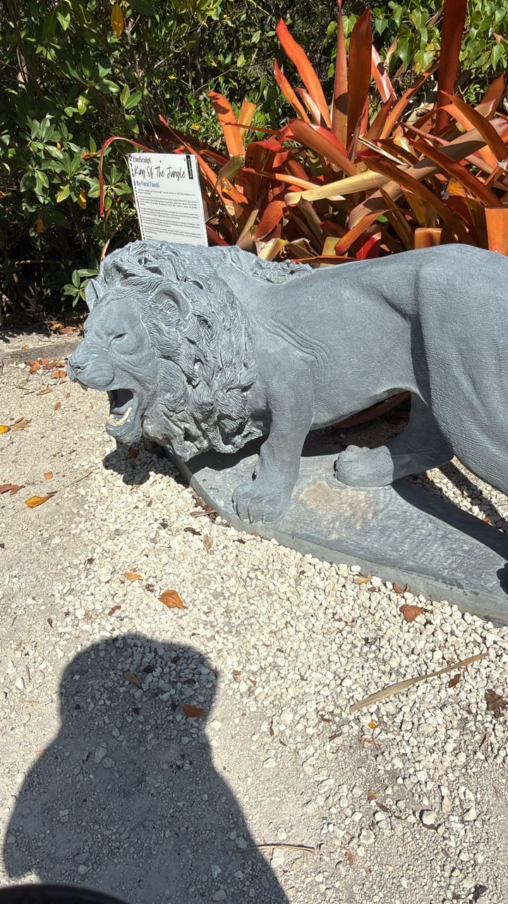 King Of The Jungle King Of The Jungle