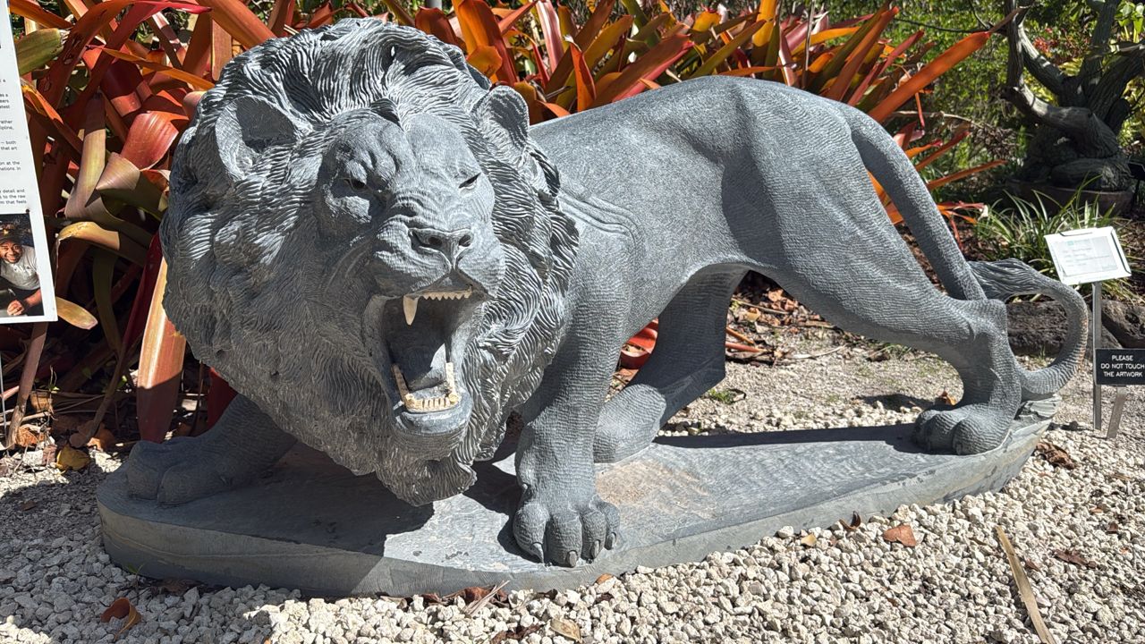 King Of The Jungle 1 King Of The Jungle 1