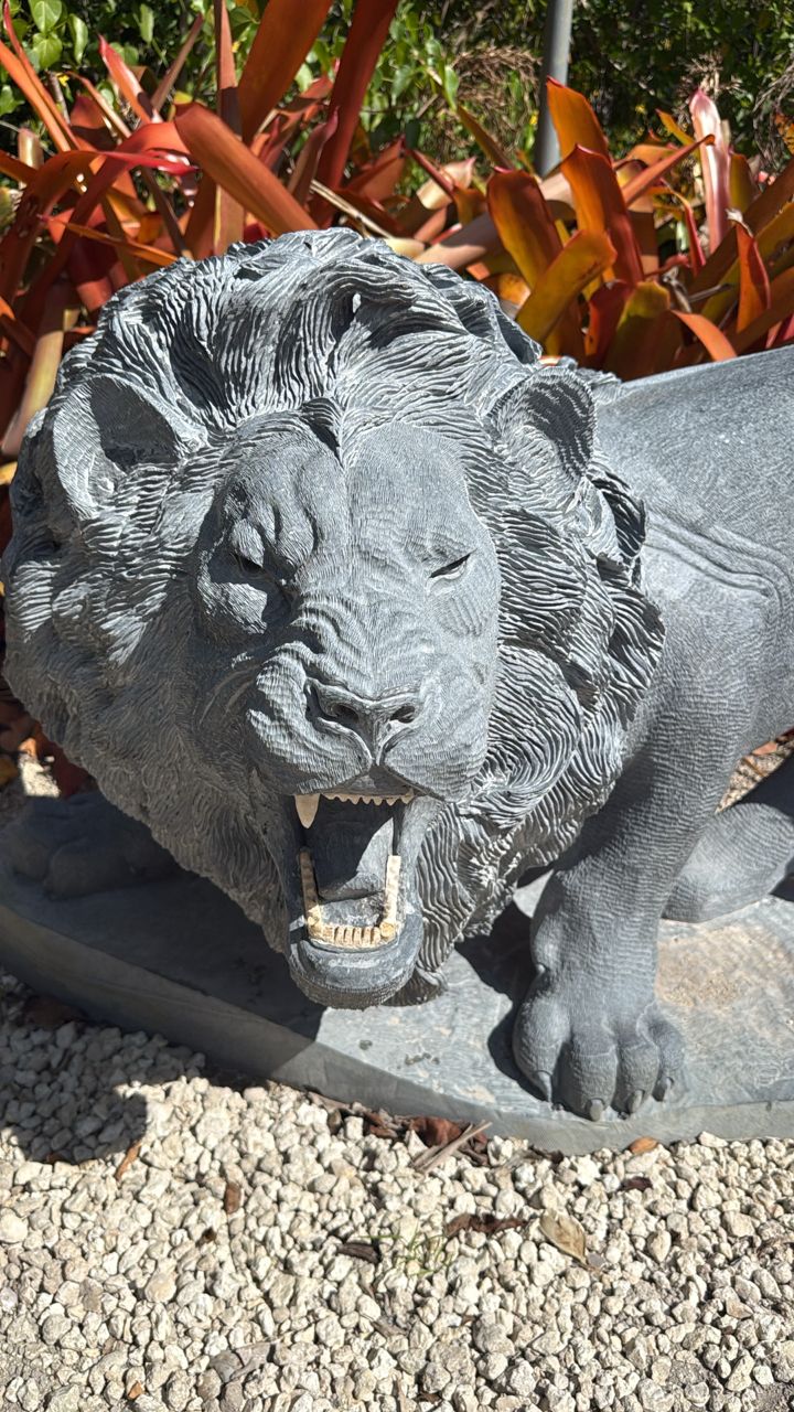 King Of The Jungle 17 King Of The Jungle 17