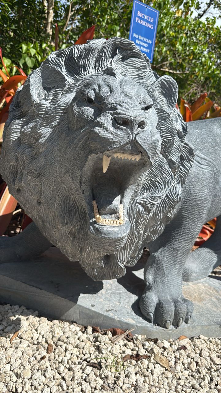 King Of The Jungle 18 King Of The Jungle 18